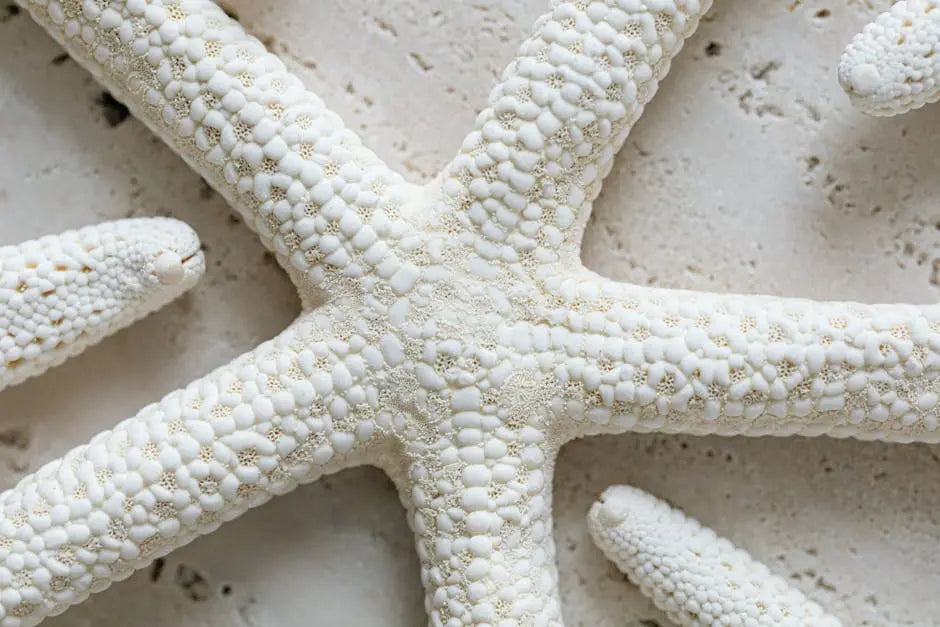 Beach Wall Art: A Guide to Creating Paradise Indoors